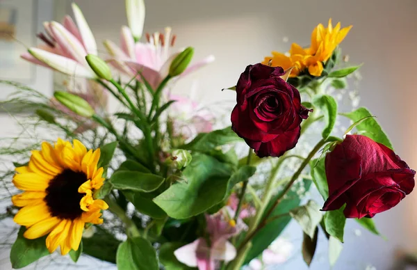 Primer Plano Flores Frescas Jarrón — Foto de Stock