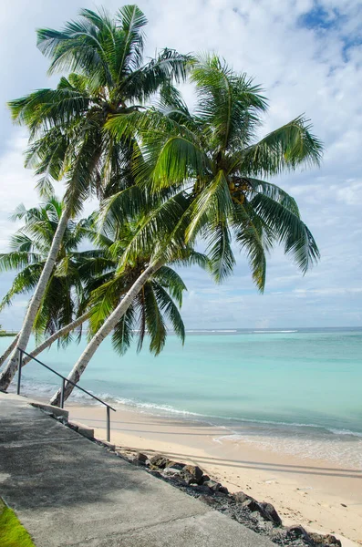 Vertikal Bild Palmer Stranden Omgiven Havet Molnig Himmel Manase Samoa — Stockfoto