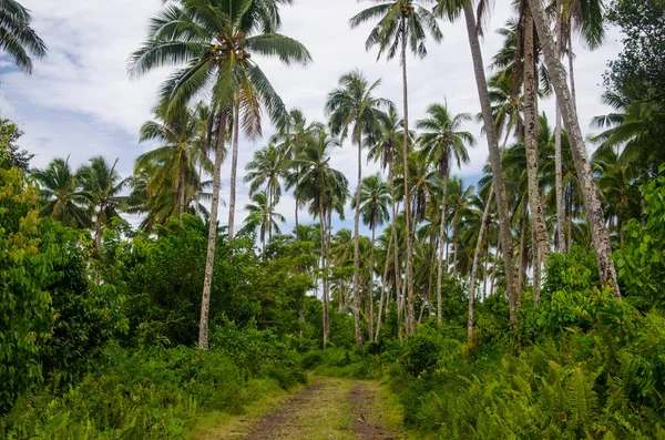 Sentiero Campo Coperto Cespugli Palme Sotto Cielo Nuvoloso Samoa — Foto Stock
