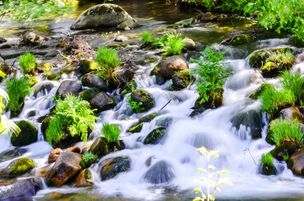 Pohled Křišťálově Čistou Vodu Tekoucí Mezi Skalami Horské Řece — Stock fotografie