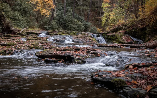 Ein Schöner Blick Auf Einen Mächtigen Wasserfall Einem Wald Umgeben — Stockfoto