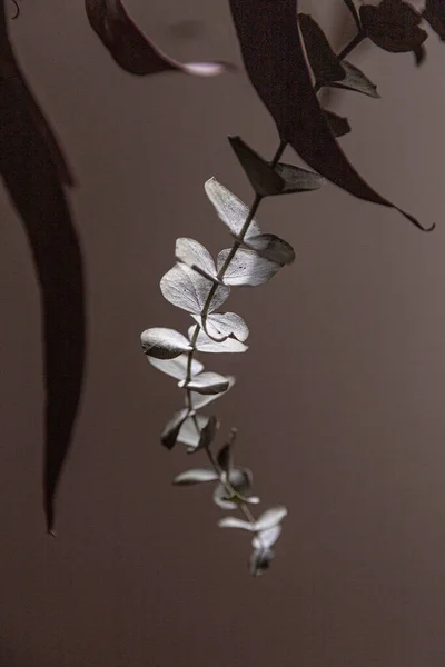 植物の小さな葉の垂直グレースケールショット — ストック写真