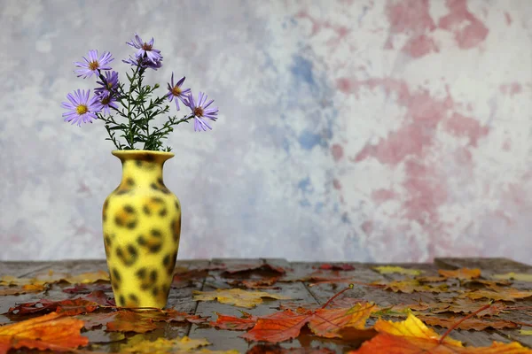 Ein Stillleben Mit Lila Symphyotrichum Blüten Einer Vase — Stockfoto