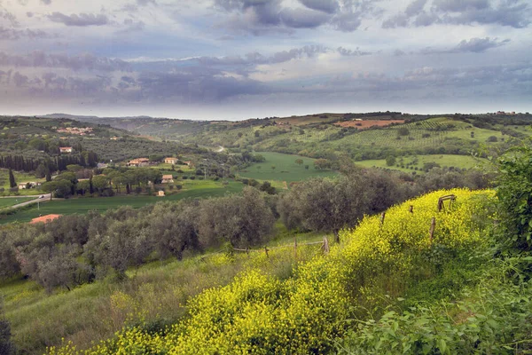Wiejskie Pole Magliano Toskanii Włochy Pod Zachmurzonym Niebem — Zdjęcie stockowe