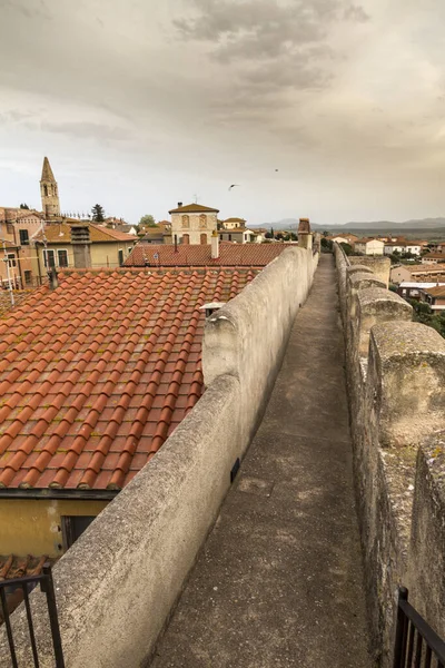 Plan Vertical Sentier Sommet Des Murs Château Magliano Toscane Italie — Photo