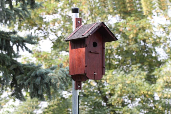 Une Mise Point Peu Profonde Une Petite Boîte Oiseaux Bois — Photo