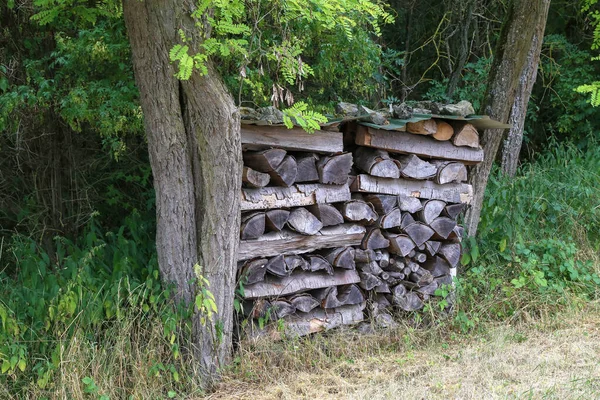 Ein Stapel Gehäckseltes Brennholz Wald Zwischen Den Bäumen — Stockfoto