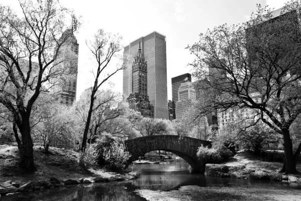 Monterrey Mexiko April 2012 Monterrey Mexiko April 2012 Central Park — Stockfoto