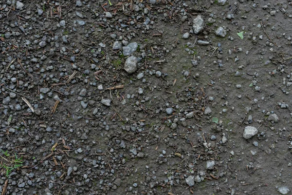 Eine Nahaufnahme Von Kleinen Scharfen Felsen Schmutzigen Schlamm — Stockfoto