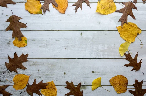 乾燥した秋の葉を持つ木製の背景 テキストのためのスペース — ストック写真