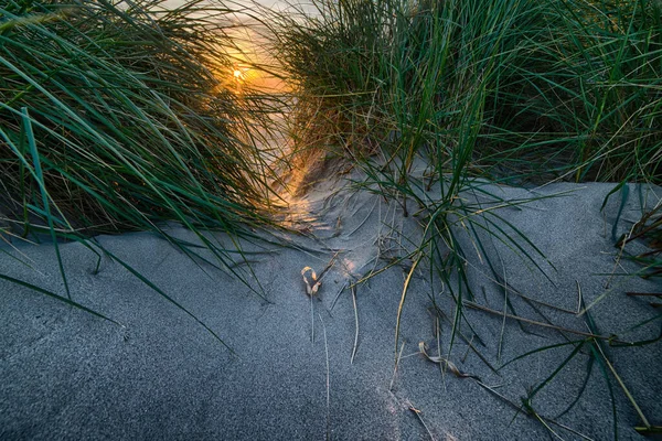 Uma Praia Coberta Grama Areia Sob Luz Sol Durante Pôr — Fotografia de Stock