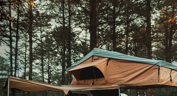 Vue Une Tente Camping Dans Une Forêt — Photo