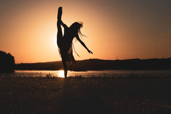 Die Silhouette Einer Ballerina Die See Posiert Konzept Freiheit Eleganz — Stockfoto