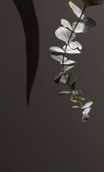 Bir Bitkinin Küçük Yapraklarının Dikey Gri Tonlu Görüntüsü — Stok fotoğraf