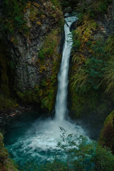 Вертикальний Знімок Потокового Водоспаду Лісі — стокове фото