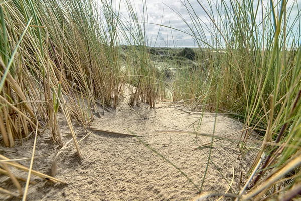 Pláž Pokrytá Trávou Pískem Pod Zataženou Oblohou Dne — Stock fotografie
