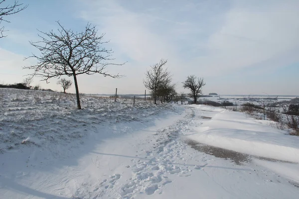 Крупним Планом Знімок Слідів Снігу Полі — стокове фото