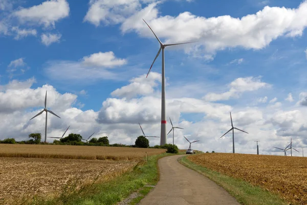 Beautiful View Pathway Field Surrounded Windmills — Stock Photo, Image