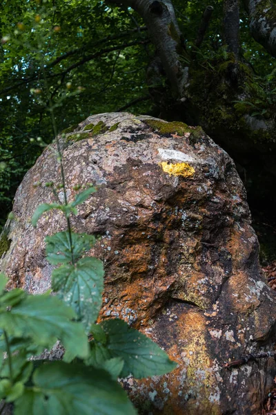 Вертикальний Знімок Знака Сільської Доріжки Позначеного Камені — стокове фото