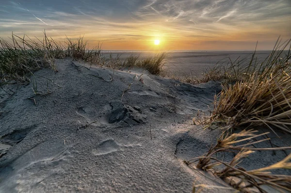 Ein Strand Gras Der Während Des Sonnenuntergangs Vom Meer Umgeben — Stockfoto