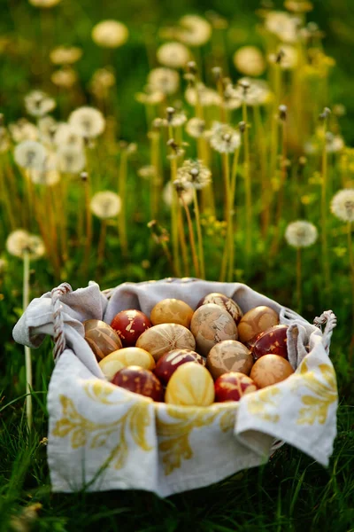 Ένα Καλάθι Γεμάτο Παρασημοφορημένα Πασχαλινά Αυγά Ένα Χωράφι Πικραλίδες — Φωτογραφία Αρχείου