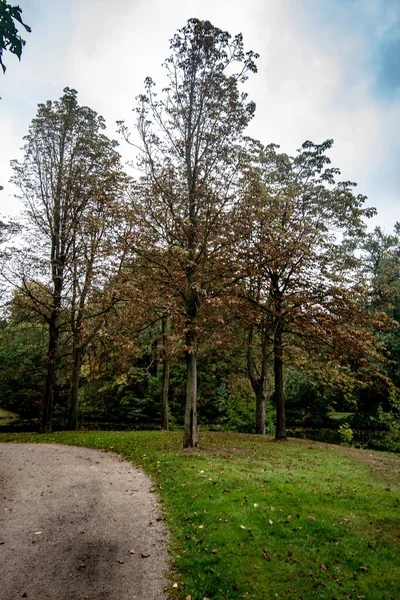 Egy Függőleges Felvétel Egy Sikátorról Bréma Parkban Egy Őszi Napon — Stock Fotó