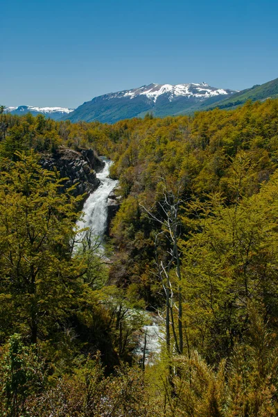 Vertikal Bild Vattenfall Kaskad Genom Skog Bergen — Stockfoto