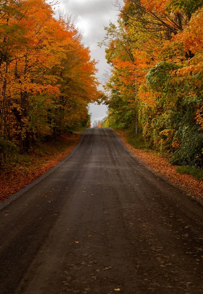 Tiro Vertical Uma Estrada Através Floresta Dia Outono — Fotografia de Stock