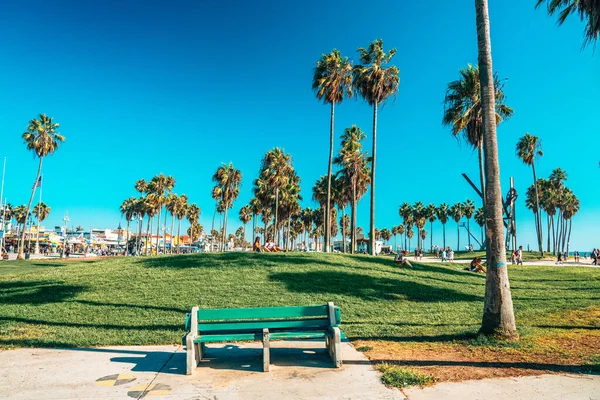 View Empty Bench Palm Trees Park — Stock Photo, Image