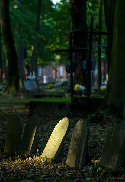 Gammal Judisk Kyrkogård Med Träd Runt Omkring Polen — Stockfoto