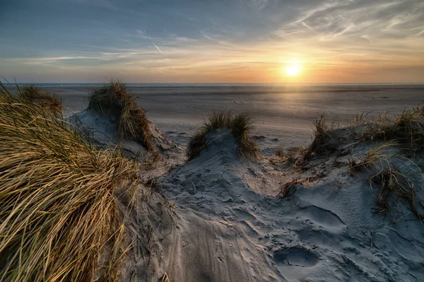 Een Strand Bedekt Met Het Gras Omgeven Door Zee Tijdens — Stockfoto