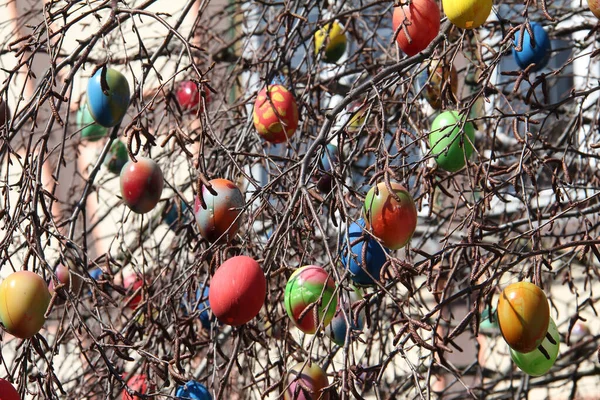 Primer Plano Huevos Pascua Decorados Colgando Árbol — Foto de Stock