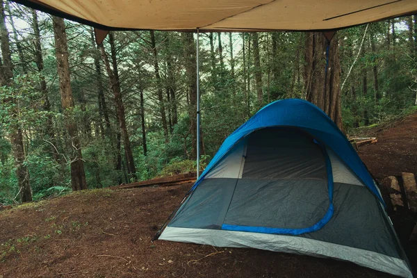 Vue Une Tente Camping Dans Une Forêt — Photo