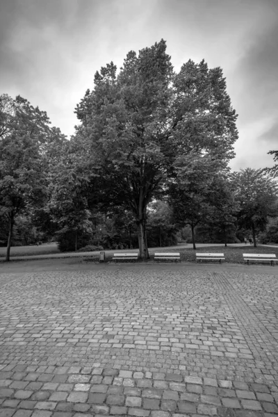 Vertikální Snímek Parku Stupních Šedi Německém Brémách — Stock fotografie