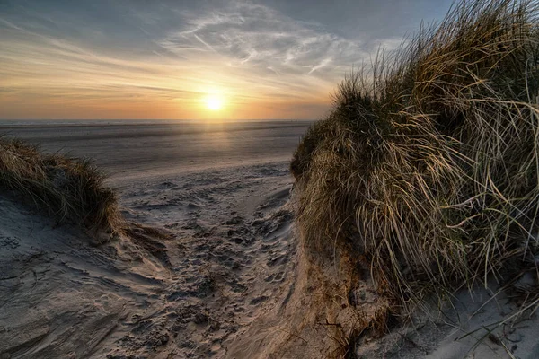 Une Plage Couverte Herbe Entourée Par Mer Pendant Coucher Soleil — Photo