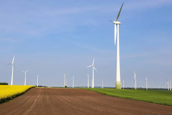 Beautiful Shot Wind Engines Fields Clear Sky Germany — Stock Photo, Image