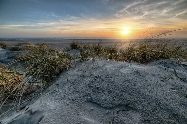 Une Plage Couverte Herbe Entourée Par Mer Pendant Coucher Soleil — Photo