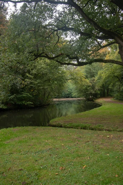 Tiro Vertical Lago Cercado Por Vegetação Parque Bremen Alemanha — Fotografia de Stock