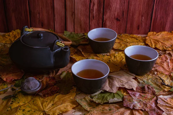 Ensemble Thé Gris Sur Des Feuilles Automne Fond Bois — Photo