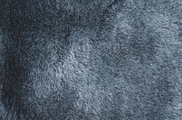Lacivert Deri Bir Ceketin Kürkünün Yakın Çekimi — Stok fotoğraf