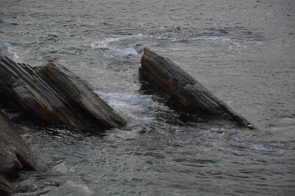 Closeup Shot Wood Water — Stock Photo, Image