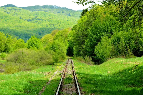 Gyönyörű Kilátás Nyílik Vasútra Zöldekkel Fákkal Körülvéve Parkban Nagyszerű Tapéták — Stock Fotó