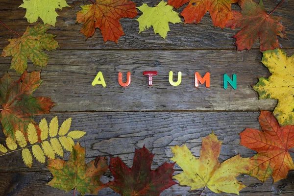 Palavra Autumn Soletrada Uma Tábua Madeira Cercada Por Folhas Coloridas — Fotografia de Stock