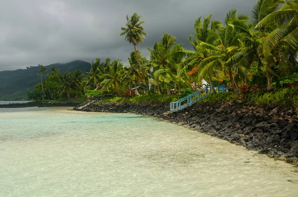 Zapierający Dech Piersiach Widok Tropikalną Plażę Savaii Samoa — Zdjęcie stockowe