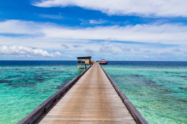 Μια Όμορφη Θέα Στη Φύση Στις Μαλδίβες — Φωτογραφία Αρχείου