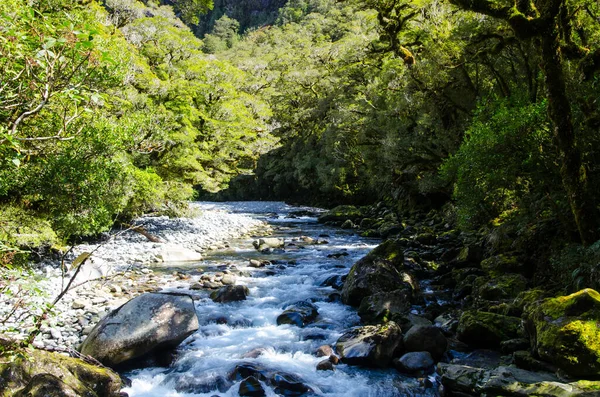 Rio Milford Sound Nova Zelândia — Fotografia de Stock