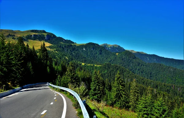 Die Bergroute Verliert Sich Wald Karpaten Rumänien — Stockfoto