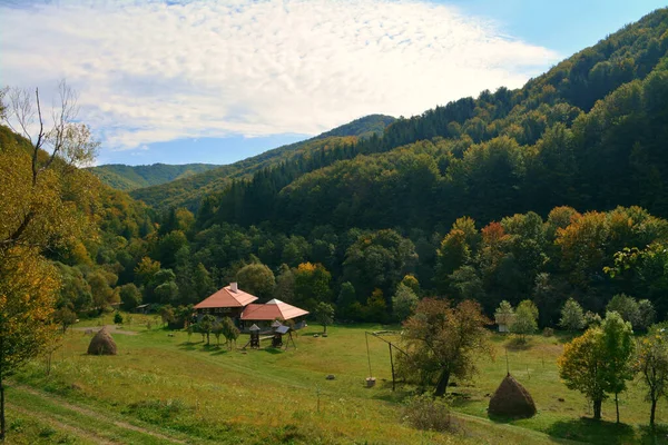 Krásný Záběr Domů Horské Krajině Pokryté Stromy Tihuta Průsmyku Rumunsko — Stock fotografie