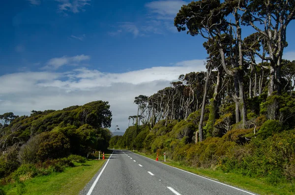 Uma Estrada West Coast South Island Nova Zelândia — Fotografia de Stock