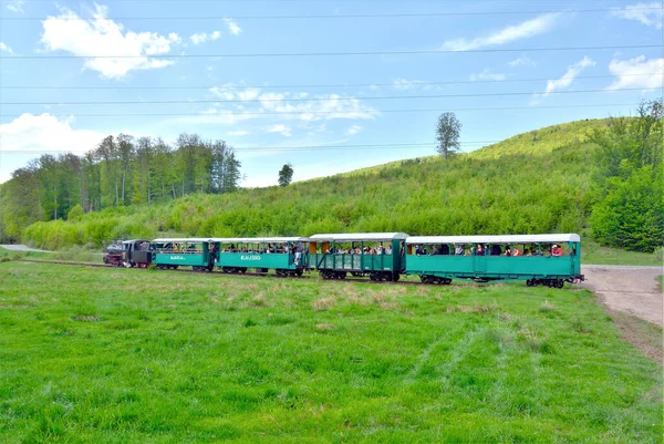 Sovata Romania Septiembre 2019 Tren Vía Estrecha Desde Sovata Resort — Foto de Stock